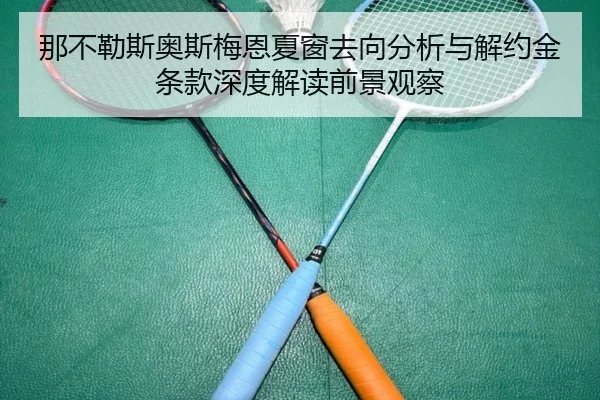 那不勒斯奥斯梅恩夏窗去向分析与解约金条款深度解读前景观察