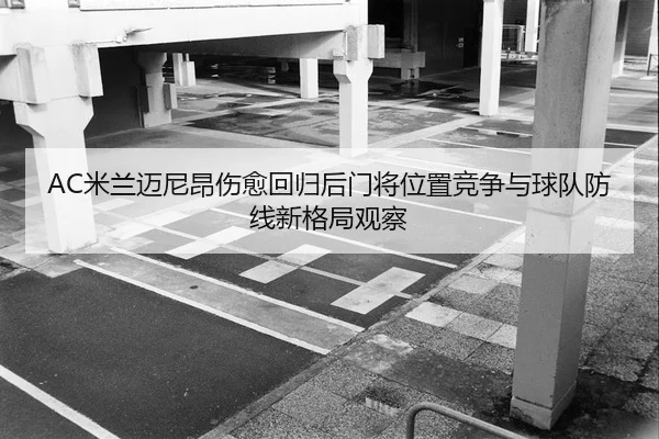 AC米兰迈尼昂伤愈回归后门将位置竞争与球队防线新格局观察